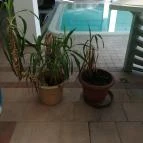 Hotel Atlantis Wellness & Conference Hajdúszoboszló - Wellness