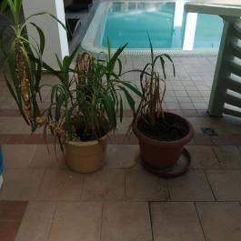 Hotel Atlantis Wellness & Conference, Hajdúszoboszló - Wellness