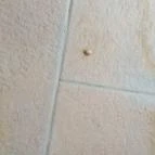 Hotel Atlantis Wellness & Conference Hajdúszoboszló - Wellness