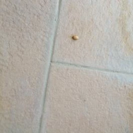 Hotel Atlantis Wellness & Conference, Hajdúszoboszló - Wellness