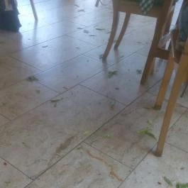 Bonchidai Csárda, Tokaj - Egyéb