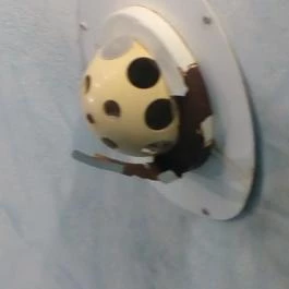 Miskolctapolca Barlangfürdő, Miskolctapolca - Belső