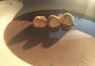 Istvándy Pincészet Káptalantóti