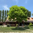 Matild Konyhája Nemesvita - Külső kép