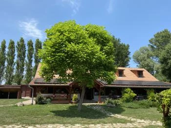 Matild Konyhája Nemesvita