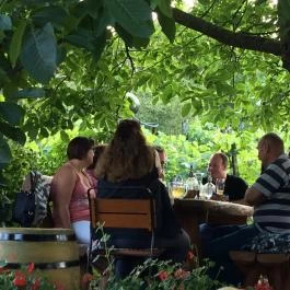 Öreg Harang Borozó Hévíz - Külső kép