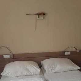 CE Plaza Hotel Siófok - Szobák