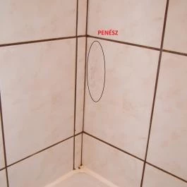 Wellness Hotel Balaton Fonyód - Szobák