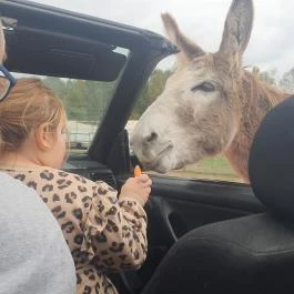 Richter Safari Park Nagykőrös - Egyéb