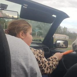 Richter Safari Park Nagykőrös - Egyéb