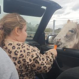 Richter Safari Park Nagykőrös - Egyéb
