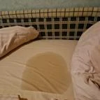 Piknik Wellness Hotel Siófok - Egyéb