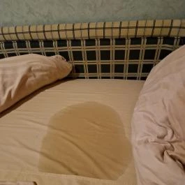 Piknik Wellness Hotel, Siófok - Egyéb