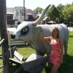 Piroska Csárda & Fogadó Siófok - Környék