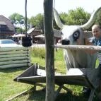 Piroska Csárda & Fogadó Siófok - Környék