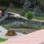 Termál Hotel Pávai Berekfürdő - Medence/kert