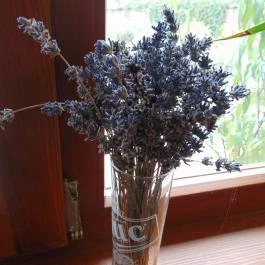 A Levendulás Apartman Noszvaj - Egyéb