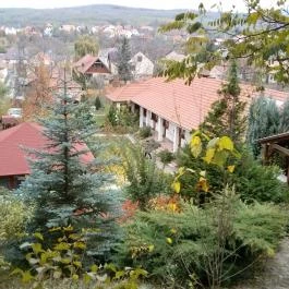 A Levendulás Apartman Noszvaj - Környék