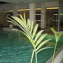 Hotel Atlantis Wellness & Conference, Hajdúszoboszló - Wellness