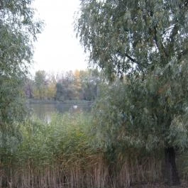 Tisza Balneum Hotel, Tiszafüred - Környék