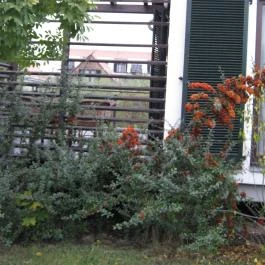 Tisza Balneum Hotel, Tiszafüred - Külső kép