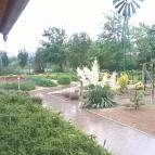 Csipkerózsa Parkhotel - Parkhotel CC Csólyospálos - Környék