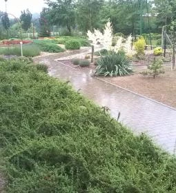 Csipkerózsa Parkhotel - Parkhotel CC