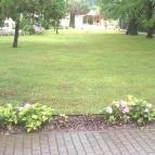 Csipkerózsa Parkhotel - Parkhotel CC Csólyospálos - Környék