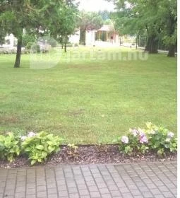 Csipkerózsa Parkhotel - Parkhotel CC