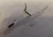 Interspar to Go Érd