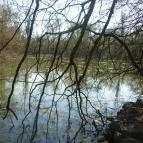 Hotel Orchidea Tengelic Tengelic - Környék