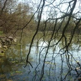 Hotel Orchidea Tengelic Tengelic - Környék