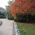 Club Dobogómajor Cserszegtomaj - Medence/kert