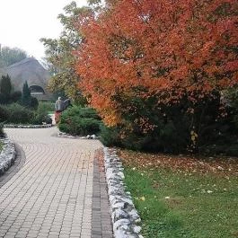 Club Dobogómajor Cserszegtomaj - Medence/kert