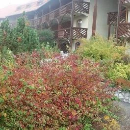 Club Dobogómajor Cserszegtomaj - Külső kép