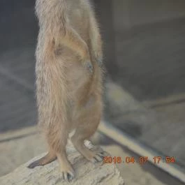 Bambara Hotel Felsőtárkány - Egyéb