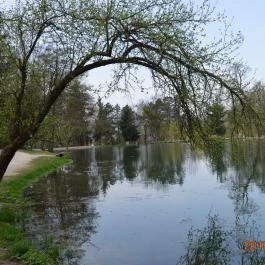 Bambara Hotel Felsőtárkány - Környék