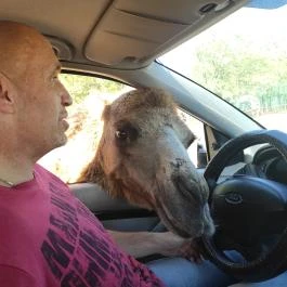 Richter Safari Park Nagykőrös - Egyéb