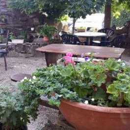 Borostyánkert Vendéglő Sitke - Külső kép