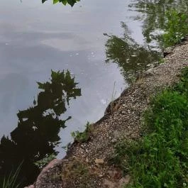 Hotel Casablanca , Tata - Egyéb