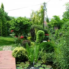 Hotel Panoráma, Eger - Medence/kert