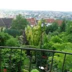 Hotel Panoráma Eger - Medence/kert