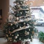 Colosseum Wellness Hotel Mórahalom - Belső