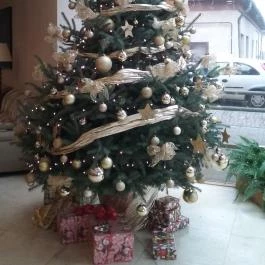 Colosseum Wellness Hotel Mórahalom - Belső