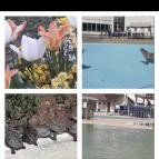 Marcsi Apartmanok Hajdúszoboszló - Egyéb