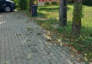 Mátyás Ranch Tanya Büfé Falatozó Berettyóújfalu