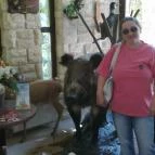 Tercia Hubertus étterem Sopron - Belső