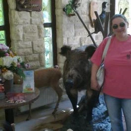 Tercia Hubertus étterem Sopron - Belső