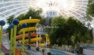 Aquaticum Termál & Wellness Hotel Debrecen - 
