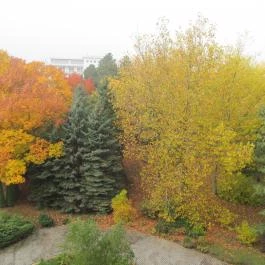 Hunguest Hotel Répce Bük, Bükfürd? - Medence/kert